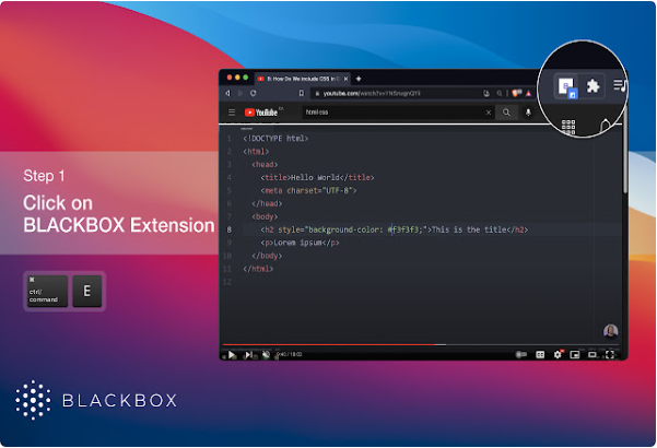 Web Developer Extensions